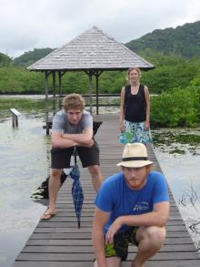 Vue dans la mangrove ...