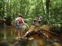 Traversée d'une crique